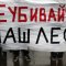 Лагерь активистов движения в защиту Химкинского леса был разогнан