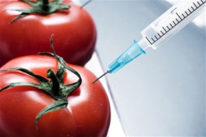 Регистрация ГМО в России отсрочена до 2017 года