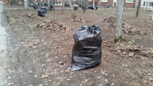 Тариф на вывоз мусора в Томске подорожает на 35 копеек