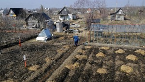 Путин подписал закон о садоводческих и огороднических товариществах