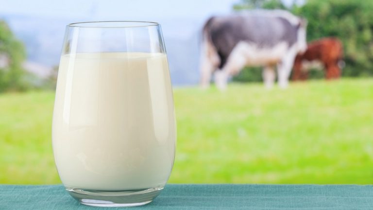 С 6 марта Россия запретит ввоз молочной продукции из Республики Беларусь