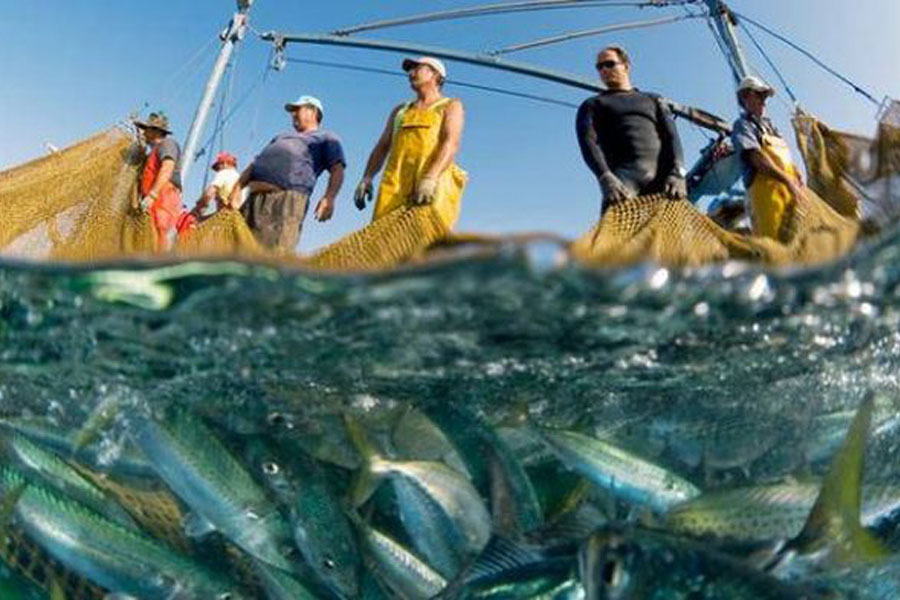 Новый закон о рыбалке в РФ выведет рыболовство на новый уровень