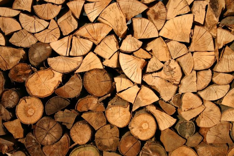 Жителей частного сектора Владивостока снабдят дровами