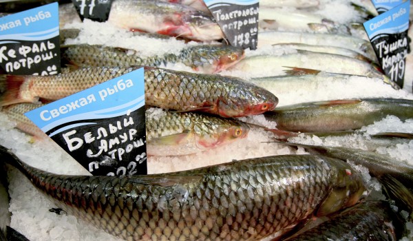 Стоимость рыбы в Москве и регионах вырастет из-за маркировки